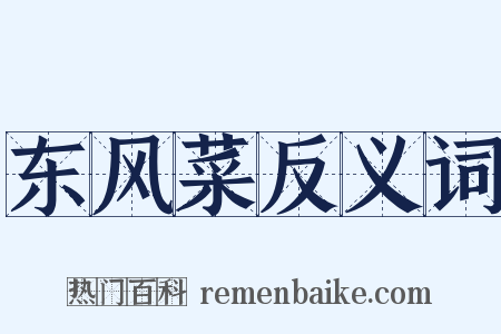 东风菜反义词是什么意思的图片